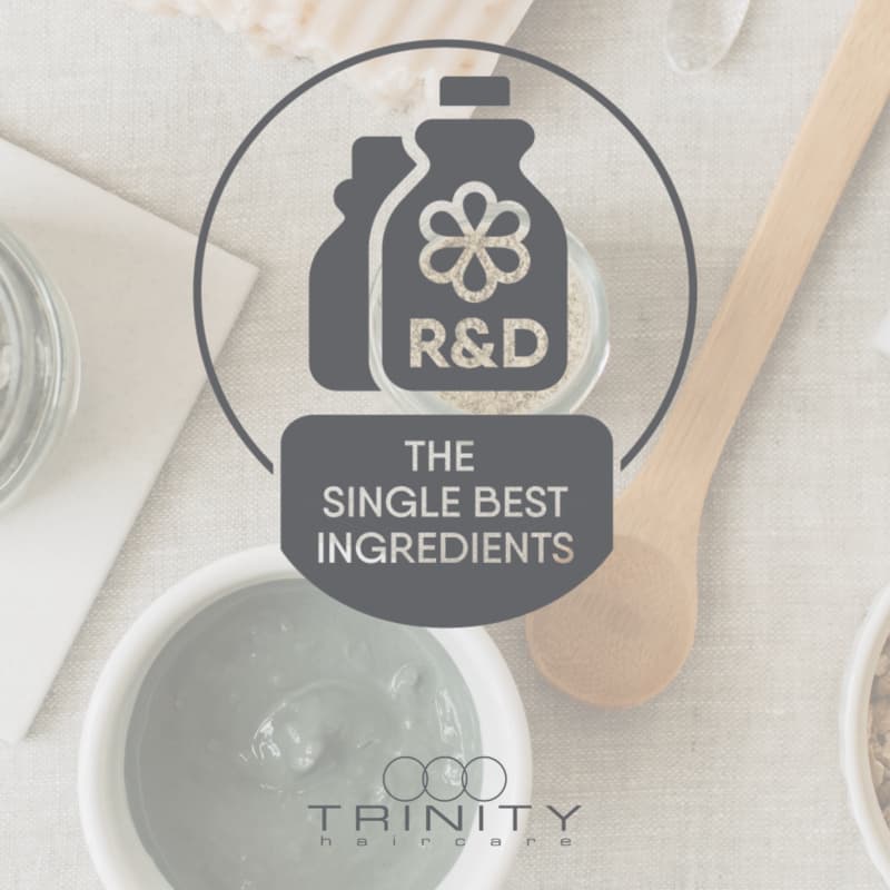 NIEUWS 0827 TRINITY haircare doelgerichte verzorging voor ieder haar 02